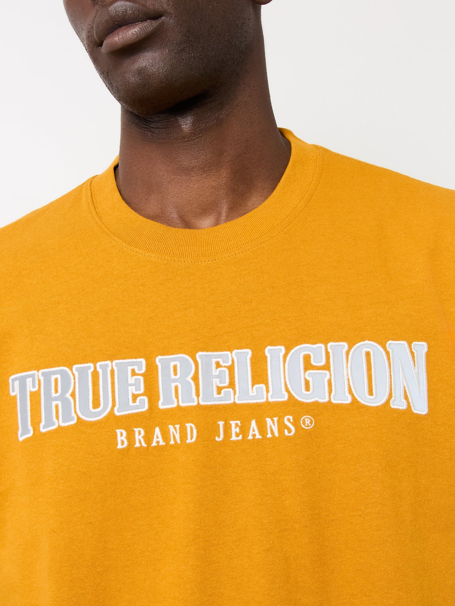 True Religion Ss Reflective Arch Tee Buckthorn
