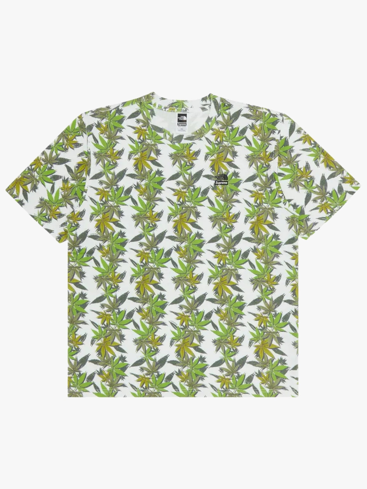 Supreme x The North Face Leaf T-Shirt